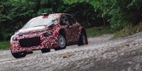 www.moj-samochod.pl - Artyku� - Nowa rajdowa odmiana Citroen C3 po testach