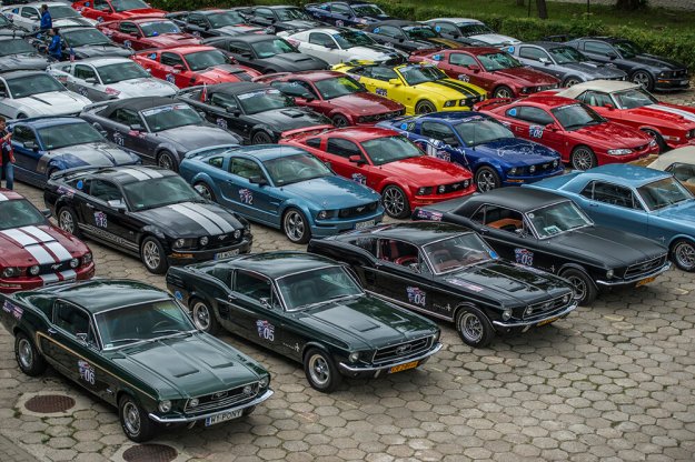 10 Oglnopolski Zlot Fordw Mustang w Warszawie